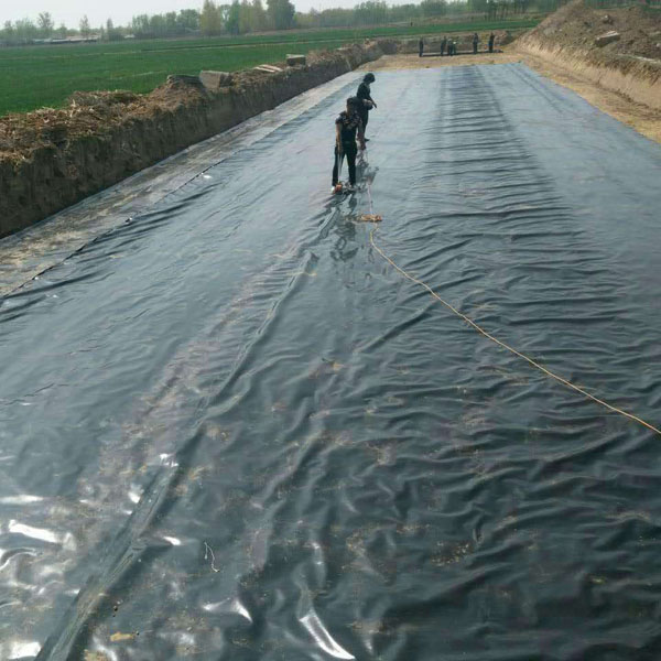 hdpeCILICILI视频APP在线看黄價格就顯的尤為重要